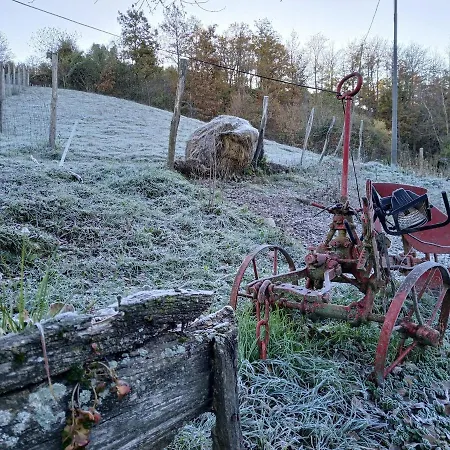 Apartment La Lissandra House