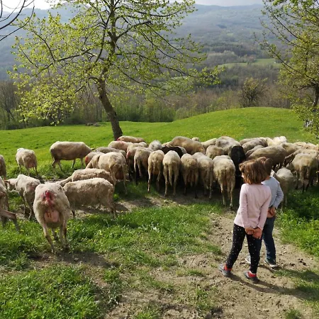 La Lissandra House *