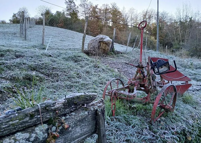 Apartament La Lissandra House