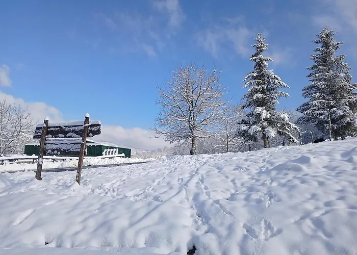 Apartament La Lissandra House *