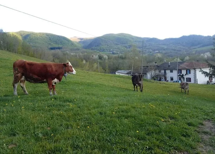 Lägenhet La Lissandra House Palagano