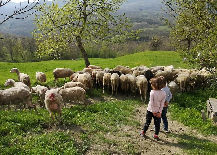 La Lissandra House *